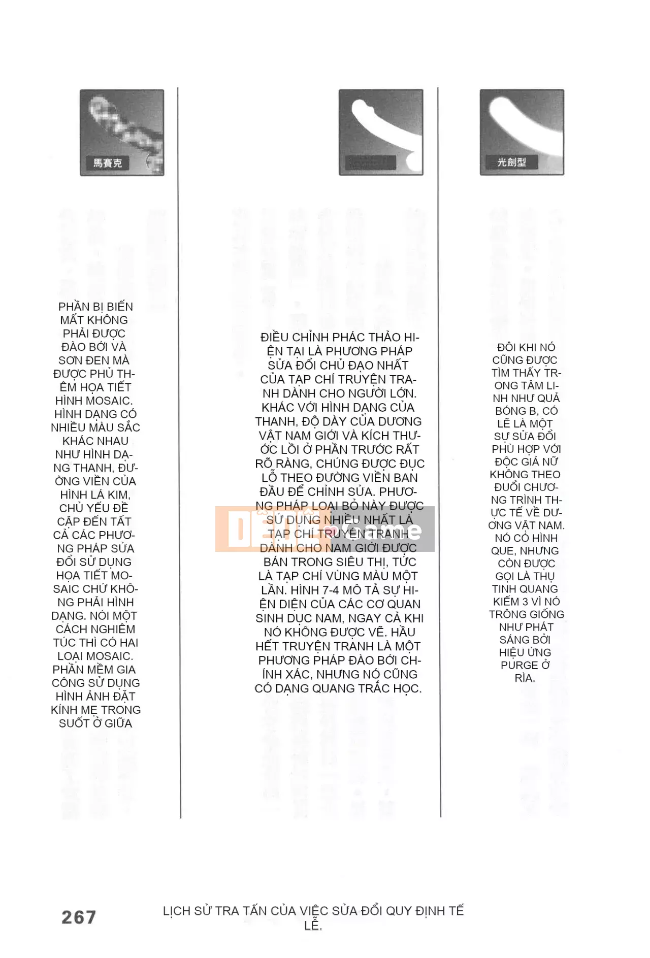 [Rare View Rito] Lịch sử biểu hiện của Eromanga [Lịch sử biểu hiện của Manga dành cho người lớn]