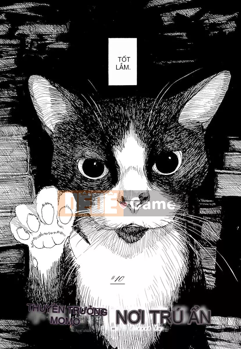 [JK Manga Club Chinese][Kenji Tsuruta] Căn cứ bí mật của thuyền trưởng Momo