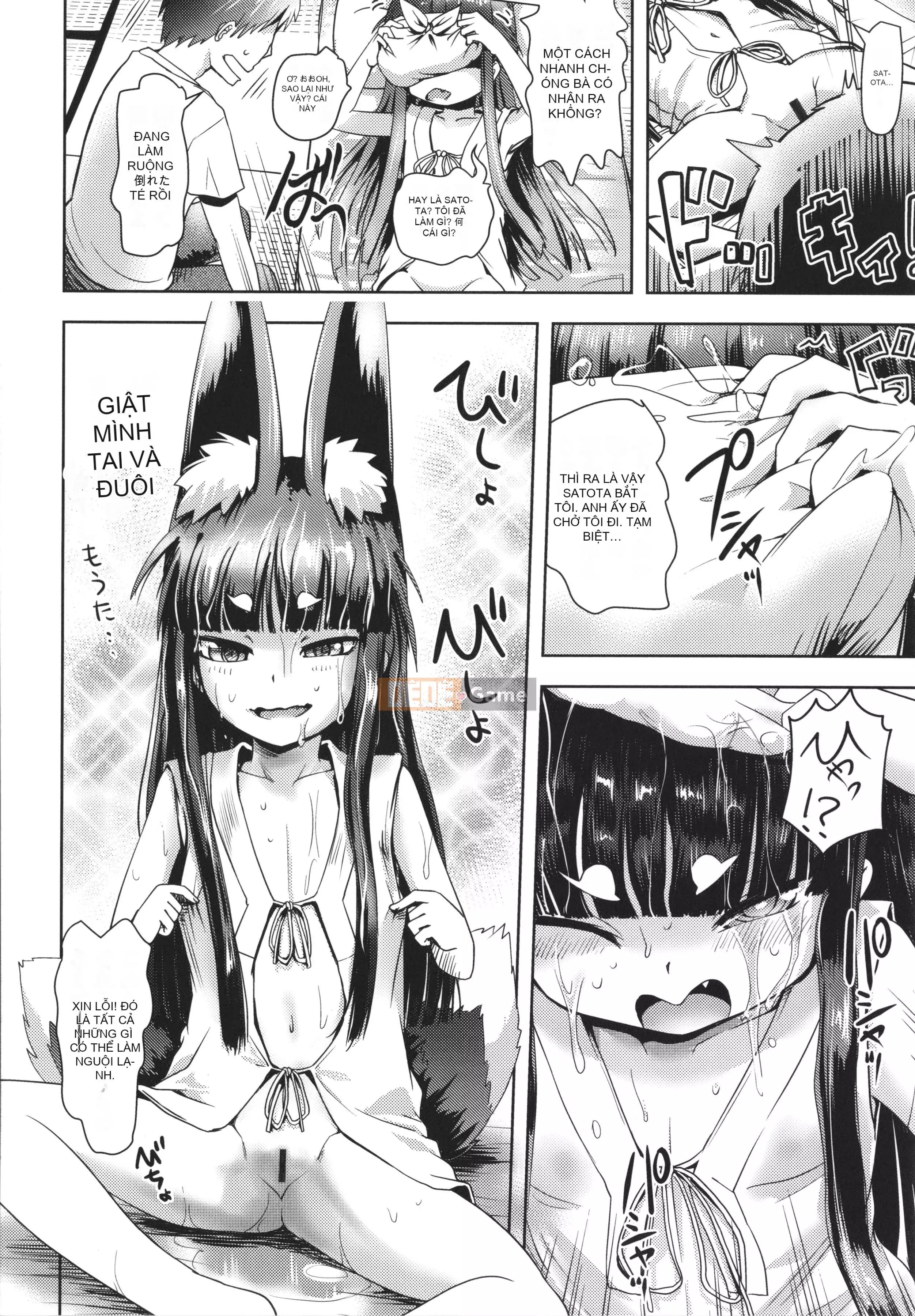 [yam] Ayakashi Enishi + thẻ minh họa