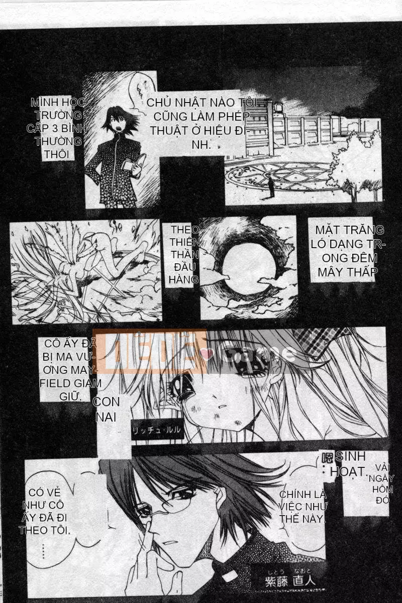 [Kojiki Ouji] Freesia [Trung Quốc]