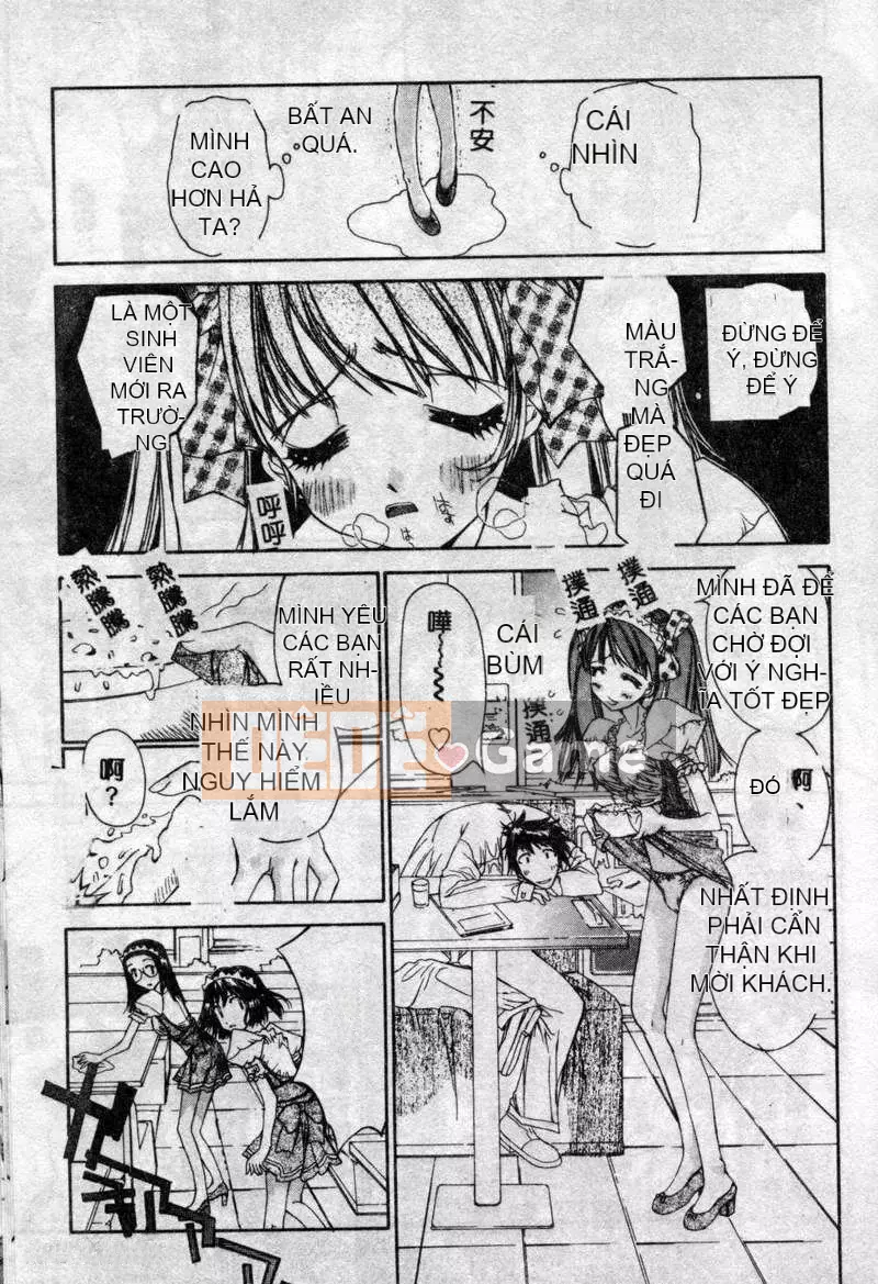 [Kojiki Ouji] Freesia [Trung Quốc]