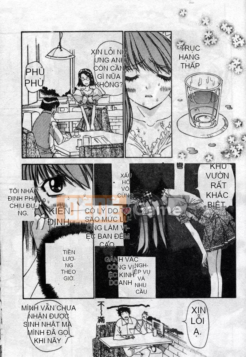 [Kojiki Ouji] Freesia [Trung Quốc]