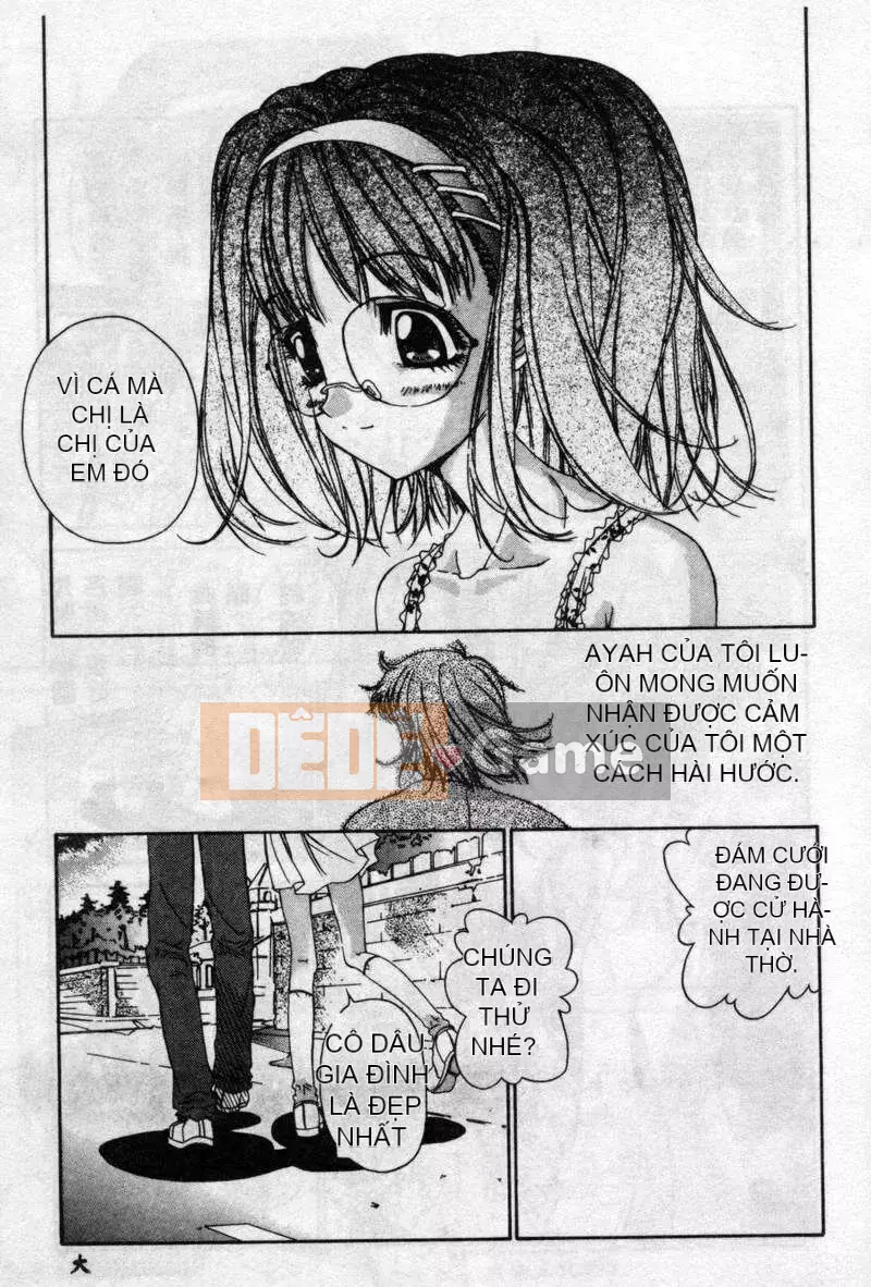 [Kojiki Ouji] Freesia [Trung Quốc]