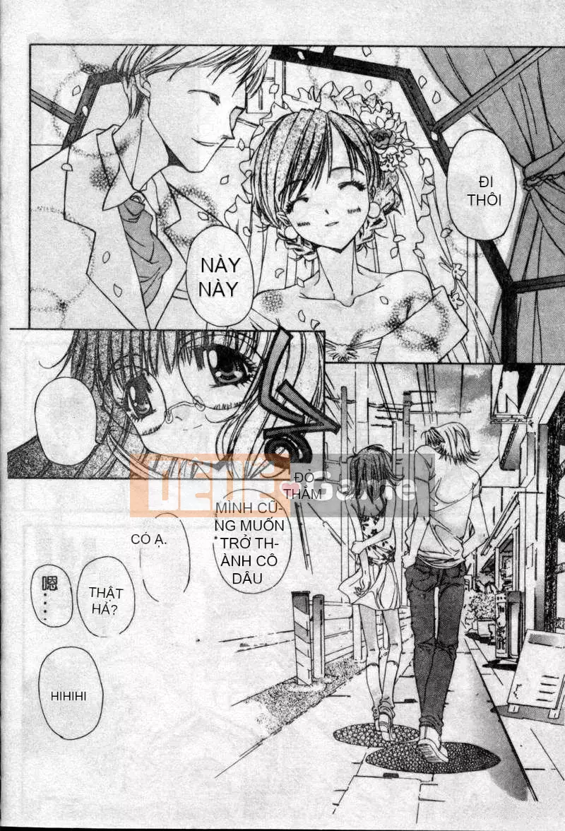 [Kojiki Ouji] Freesia [Trung Quốc]