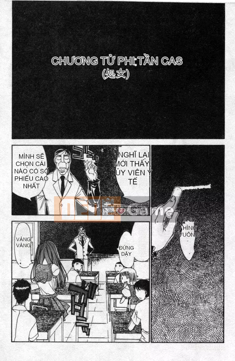 [Kojiki Ouji] Freesia [Trung Quốc]