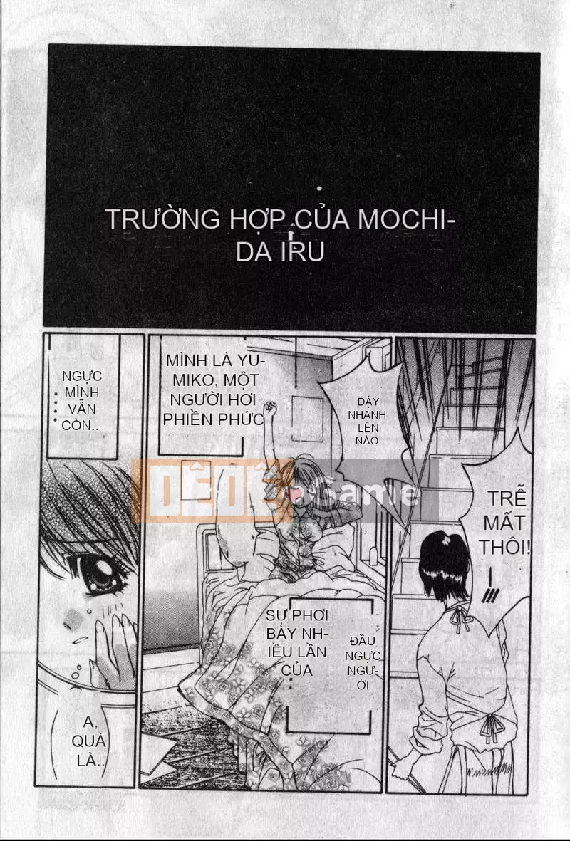 [Kojiki Ouji] Freesia [Trung Quốc]