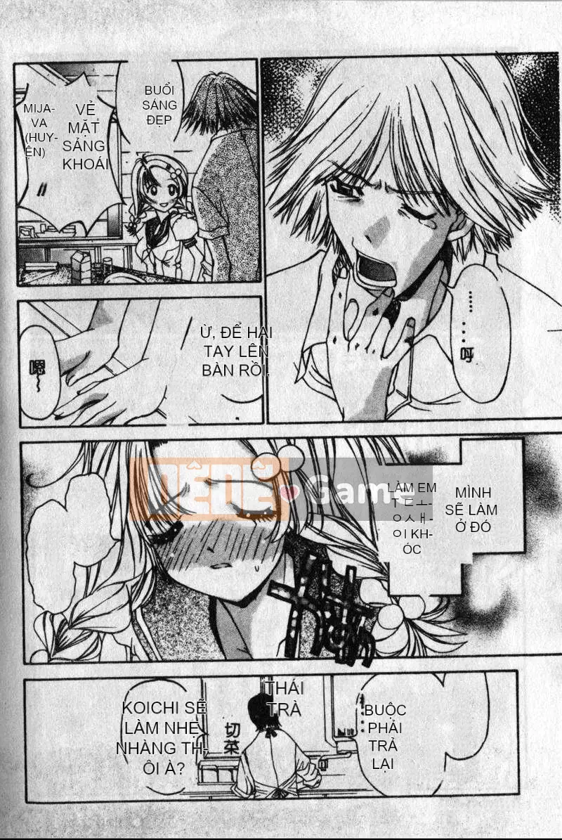 [Kojiki Ouji] Freesia [Trung Quốc]