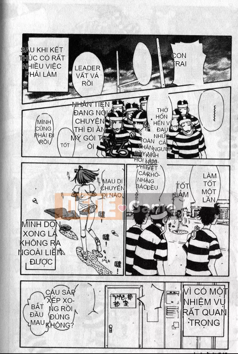 [Kojiki Ouji] Freesia [Trung Quốc]