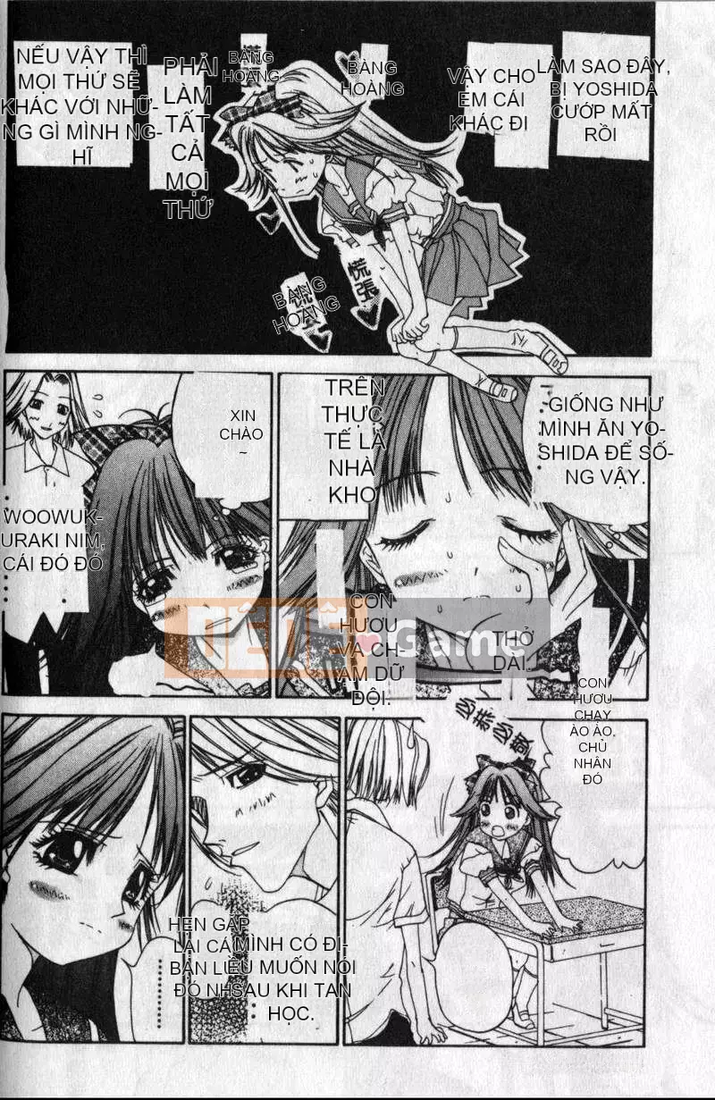 [Kojiki Ouji] Freesia [Trung Quốc]