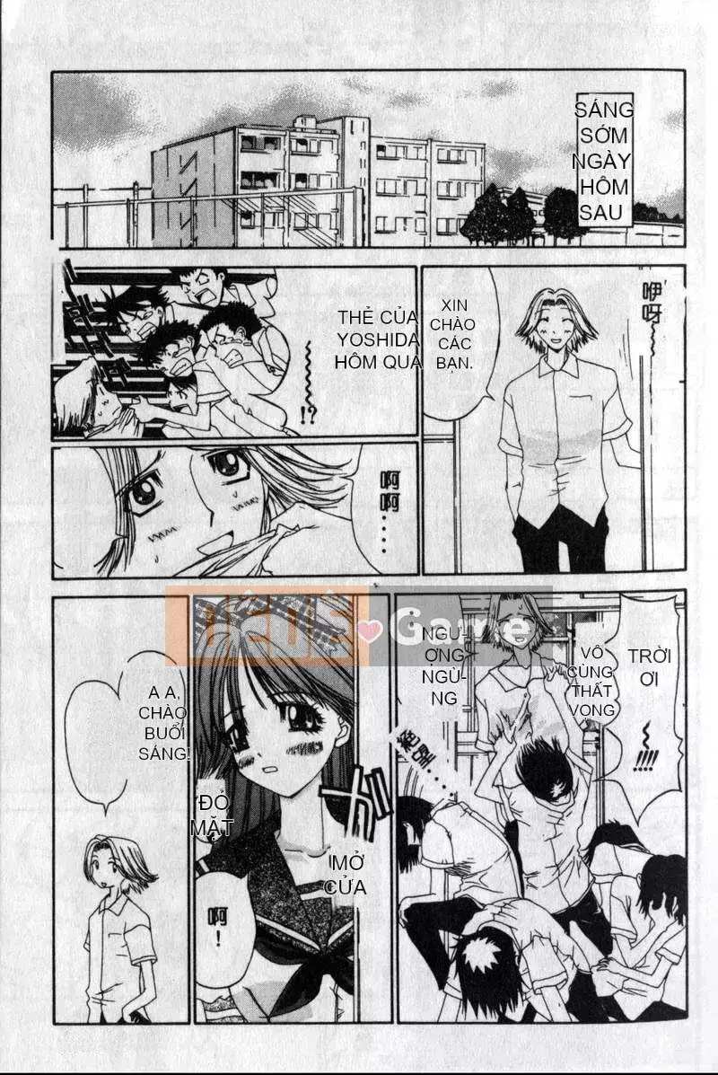 [Kojiki Ouji] Freesia [Trung Quốc]