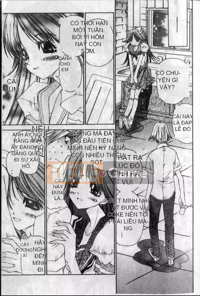 [Kojiki Ouji] Freesia [Trung Quốc]