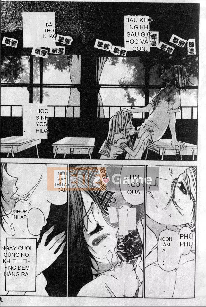 [Kojiki Ouji] Freesia [Trung Quốc]