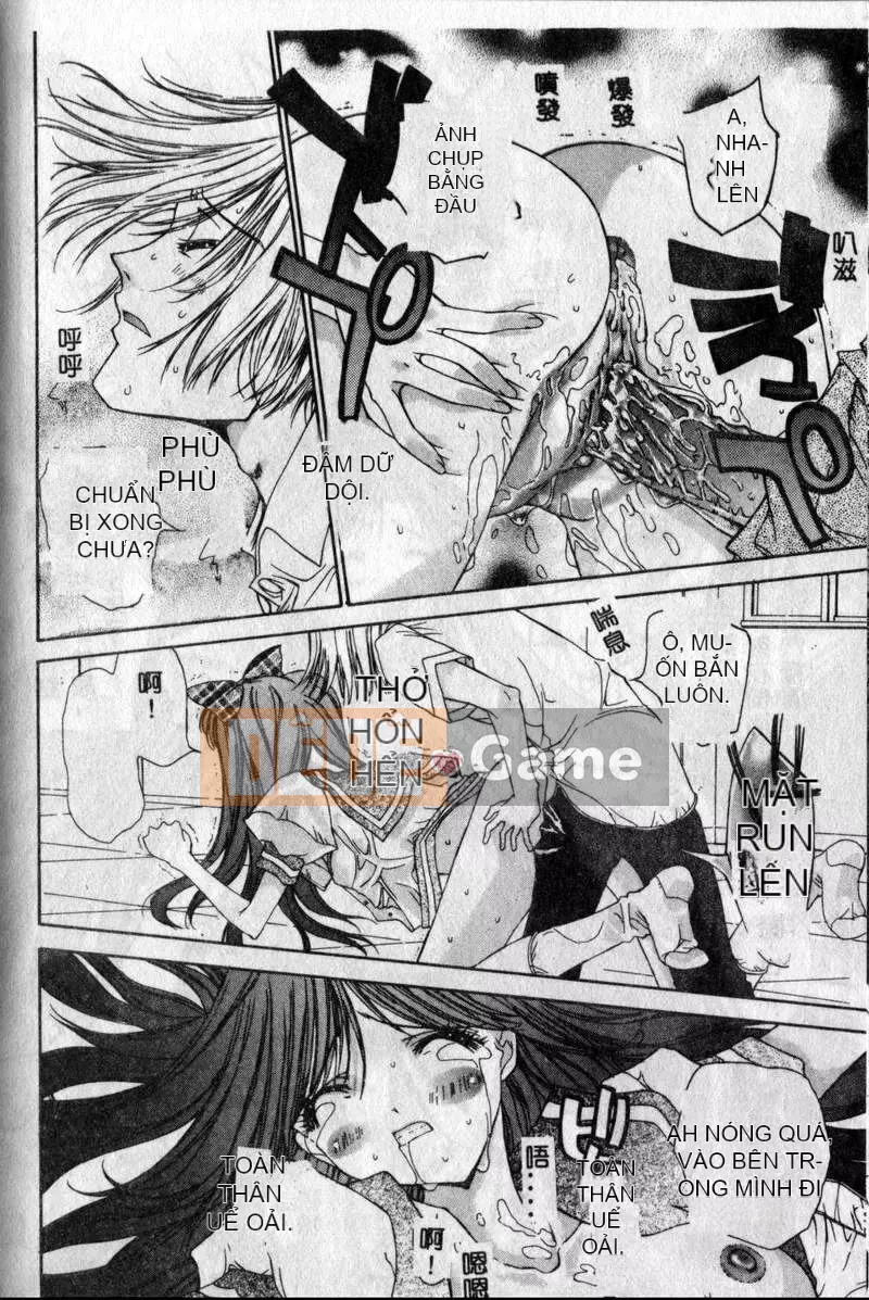 [Kojiki Ouji] Freesia [Trung Quốc]