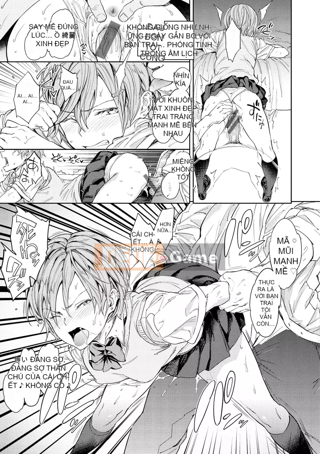 [mogg] chương trình gieo hạt [phiên bản DL]