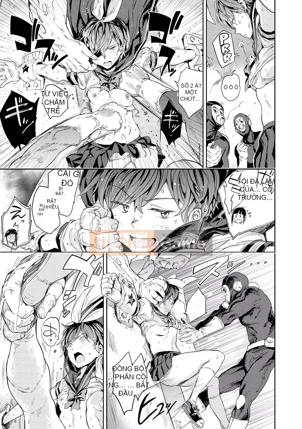 [mogg] chương trình gieo hạt [phiên bản DL]