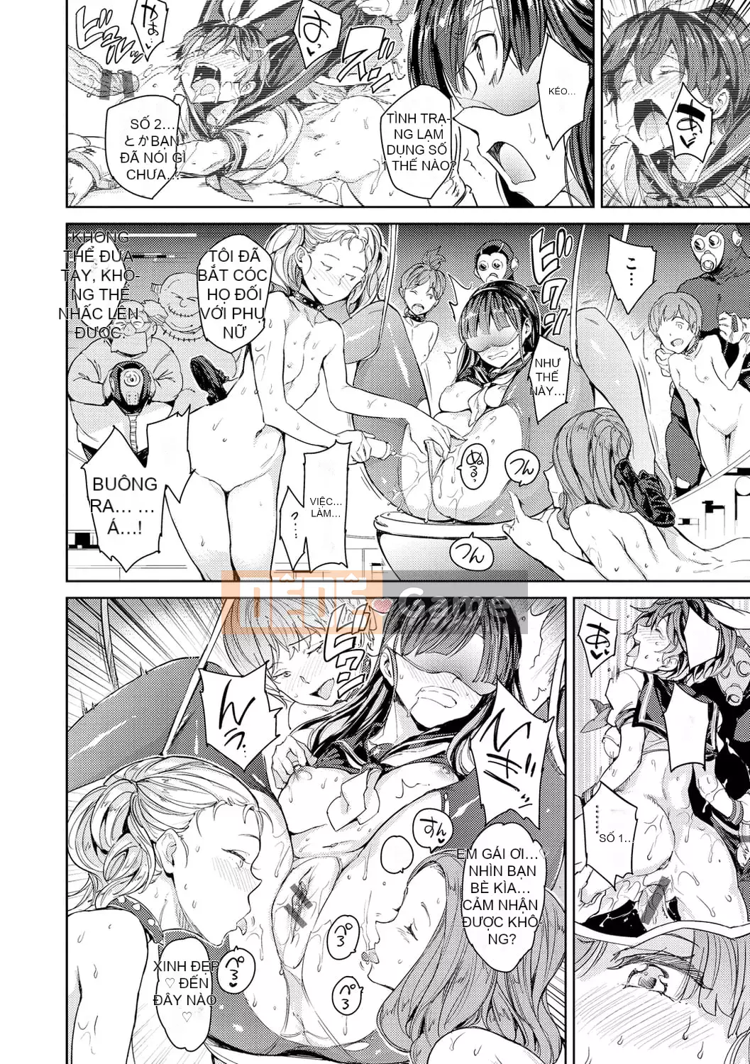 [mogg] chương trình gieo hạt [phiên bản DL]