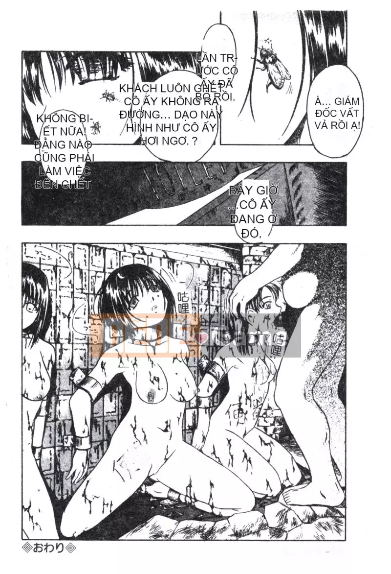 [Hàu] Shoujo Jigoku II