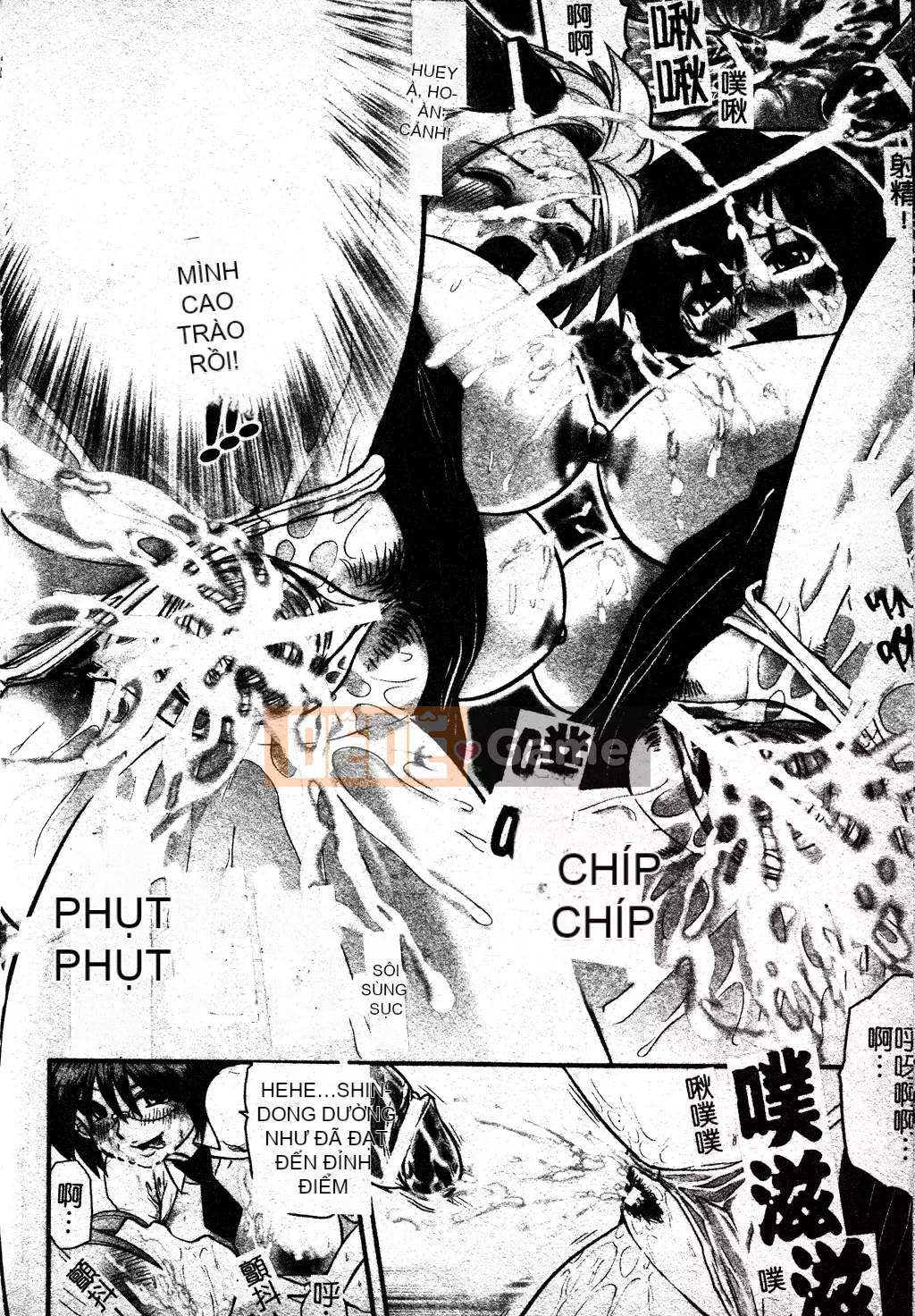 [Ssangyong] Niềm vui sơn mài