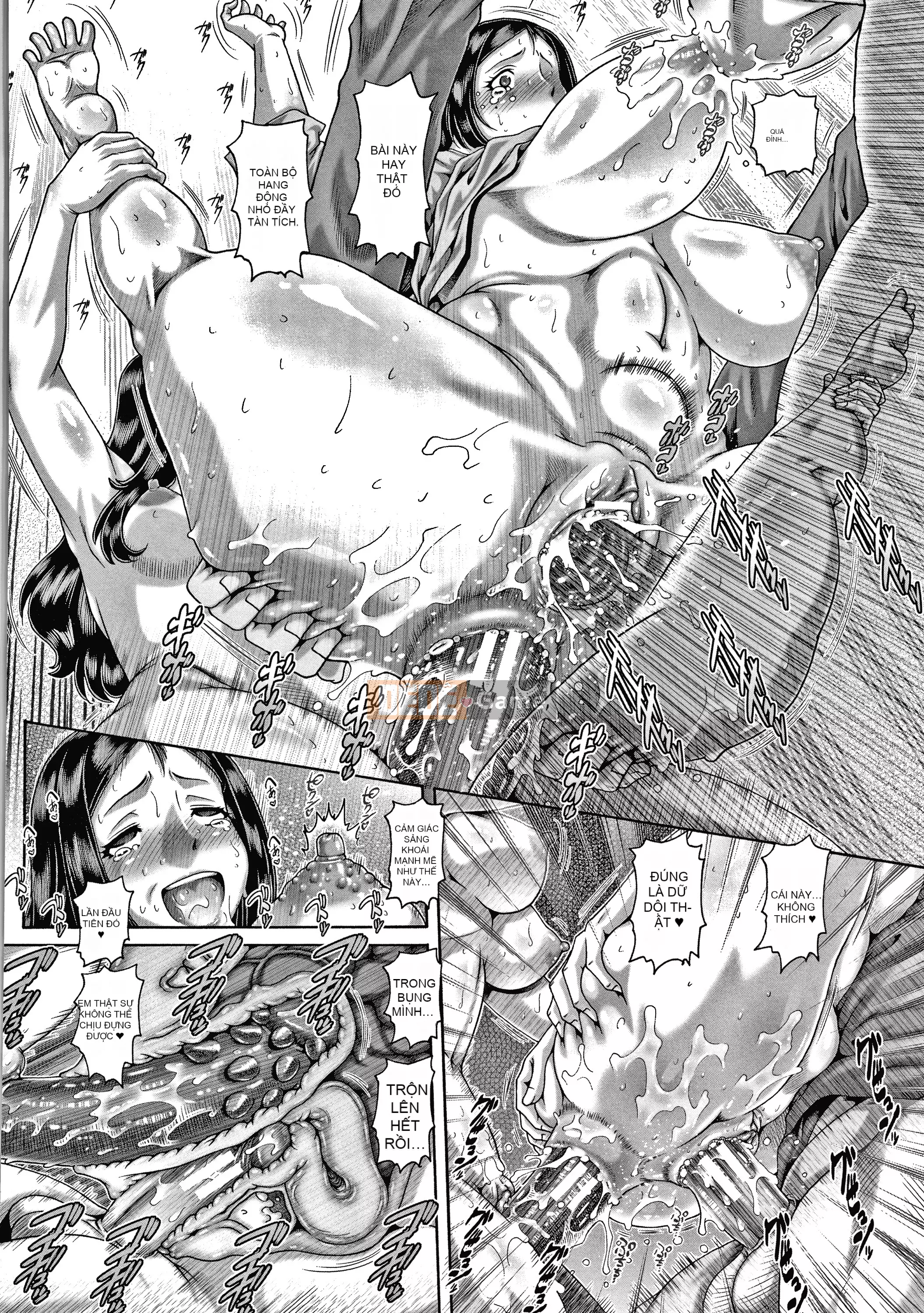 [Pull into a cat][TYPE.90] Bitch Nasty Sister