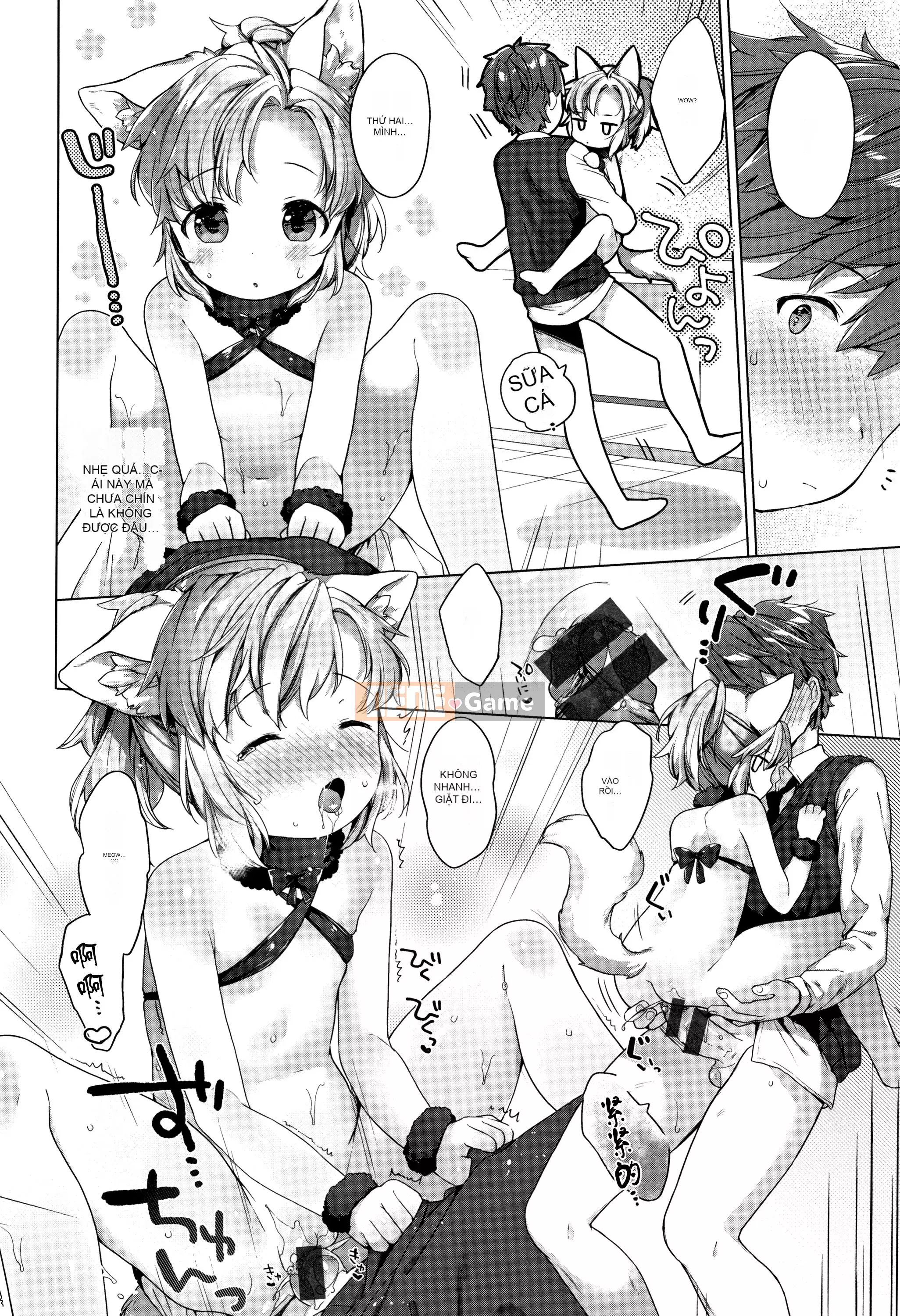 [Mato Muto] Gấu nhỏ là một con vật nhỏ + tờ rơi 4P