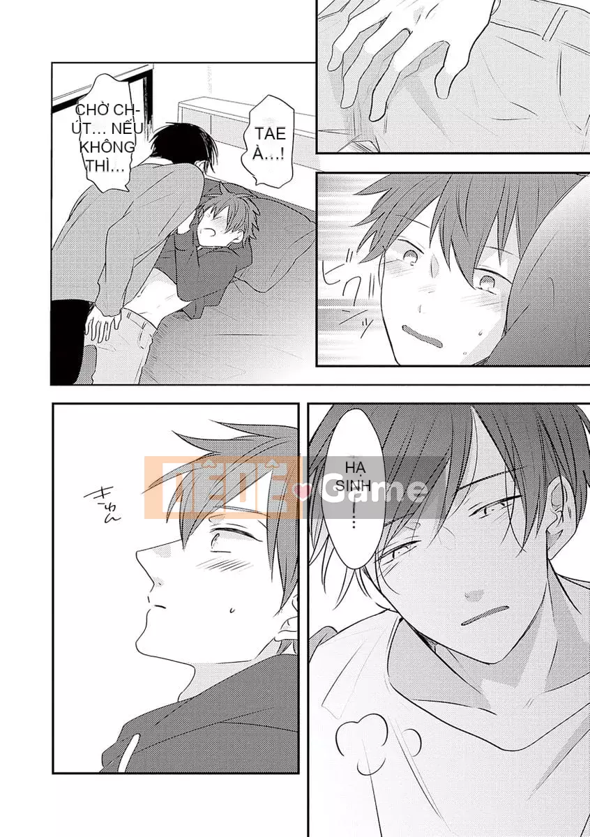 [catsnake (75)] Tình yêu này sẽ buzz chứ?