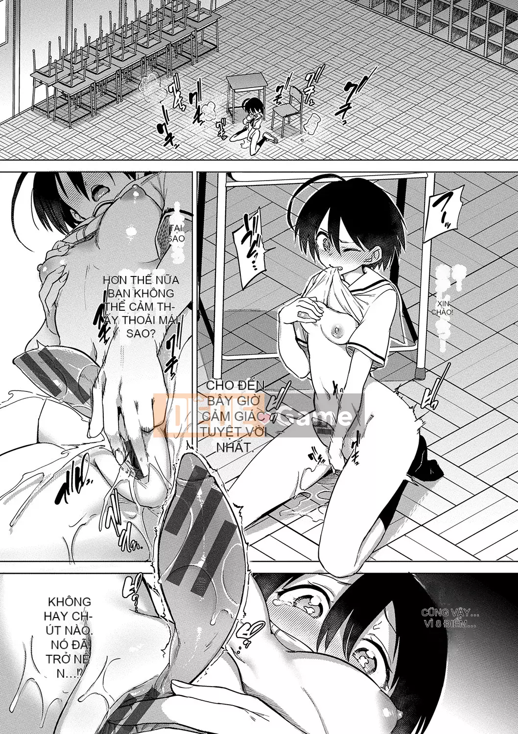 [Aomushi] Cục phát triển Zeccho [Kỹ thuật số]