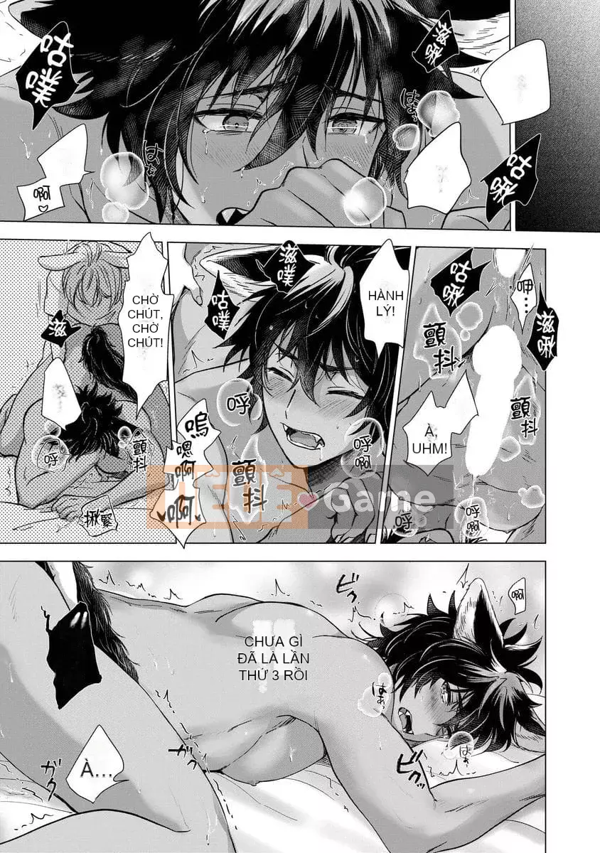 [Akuno Troi] Gặp tôi [Tiếng Trung]