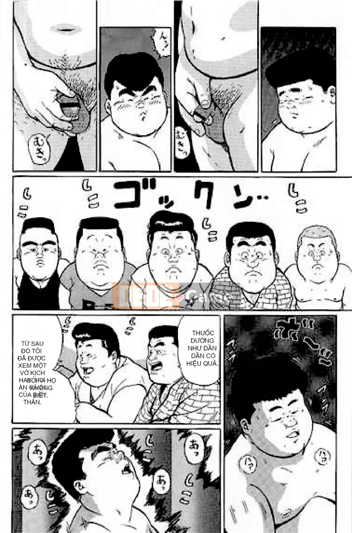 [Shinbashi Tsukihakujigogosha] [Cá voi] Hyakkan Boogie Aizouban