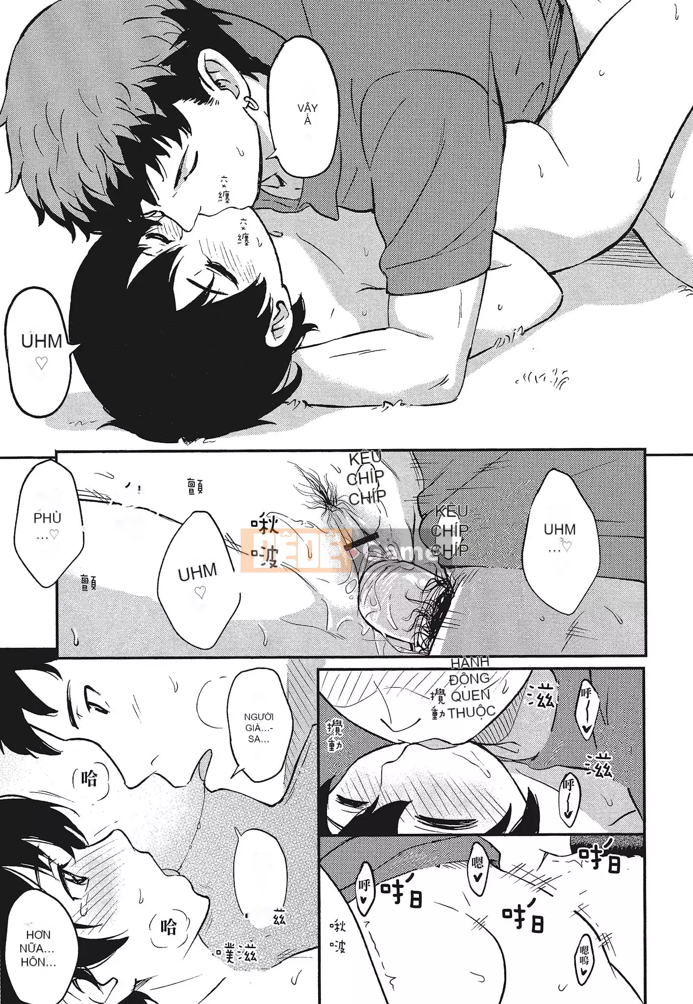 [Shibasaki Shoji] Đặc biệt mỗi ngày