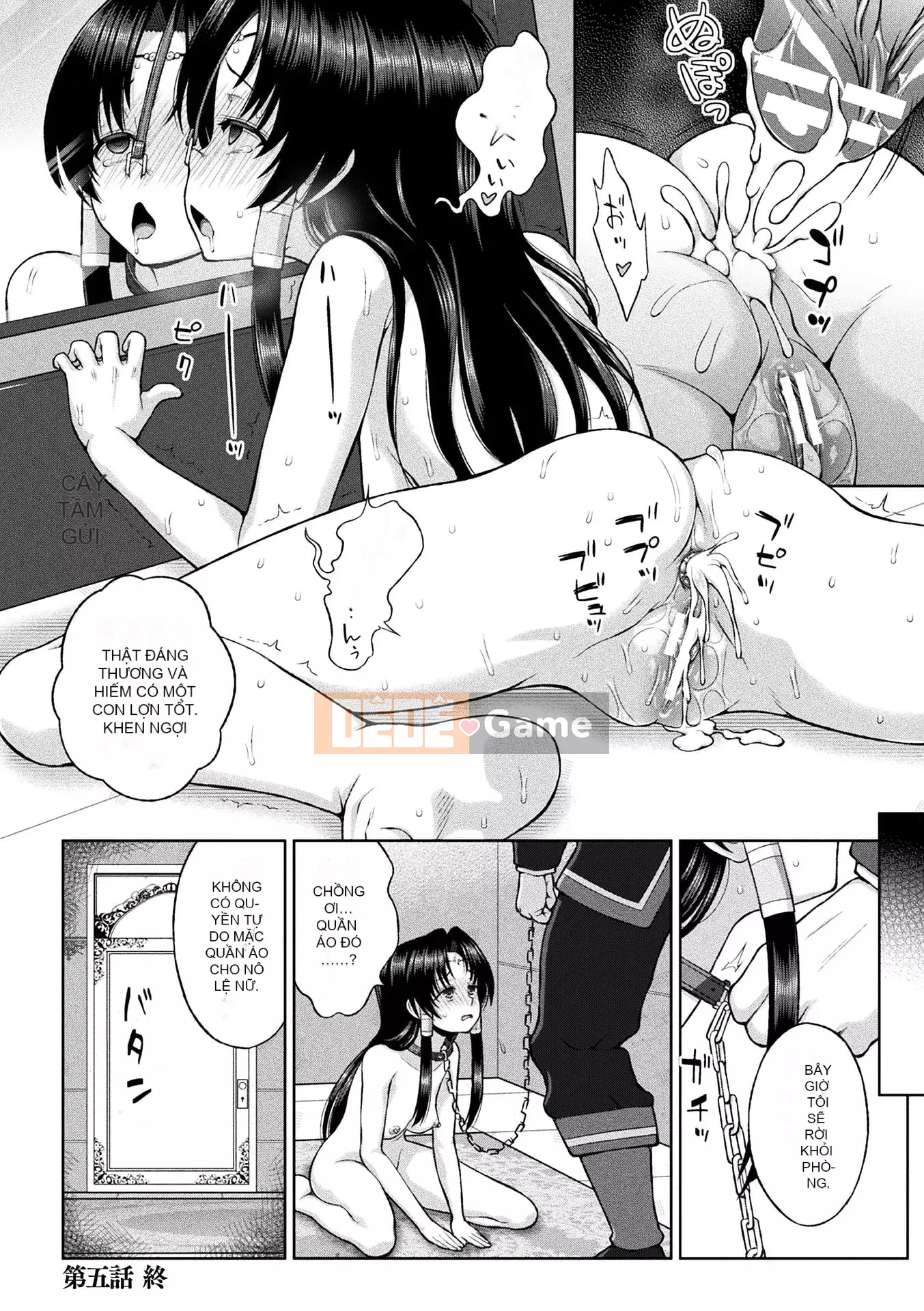 [chaccu] Sự sùng kính của Saint [Kỹ thuật số]