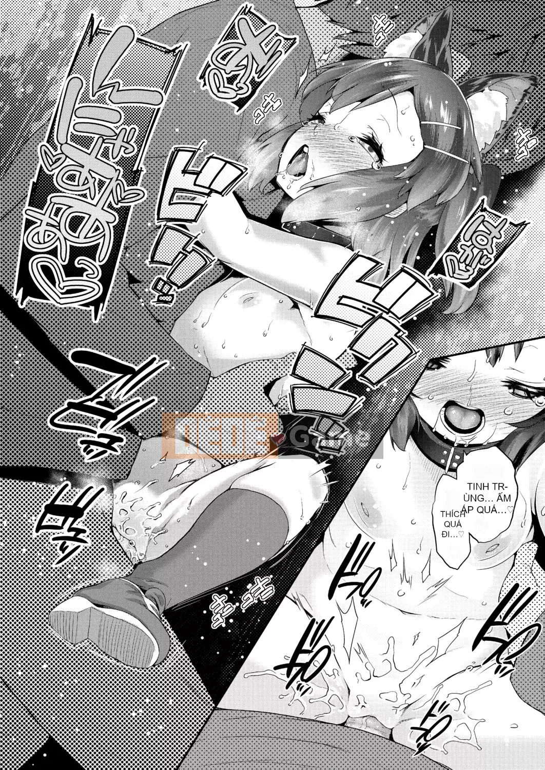 [Maejima Ryu] Hoàng tử PacoPaco[Kỹ thuật số][v2]