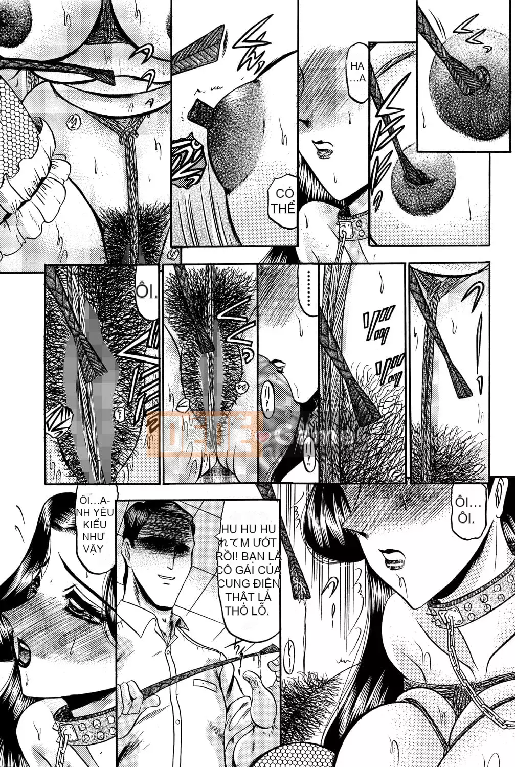 [Xiaoyi Sashi] Huali [Phiên bản DL]