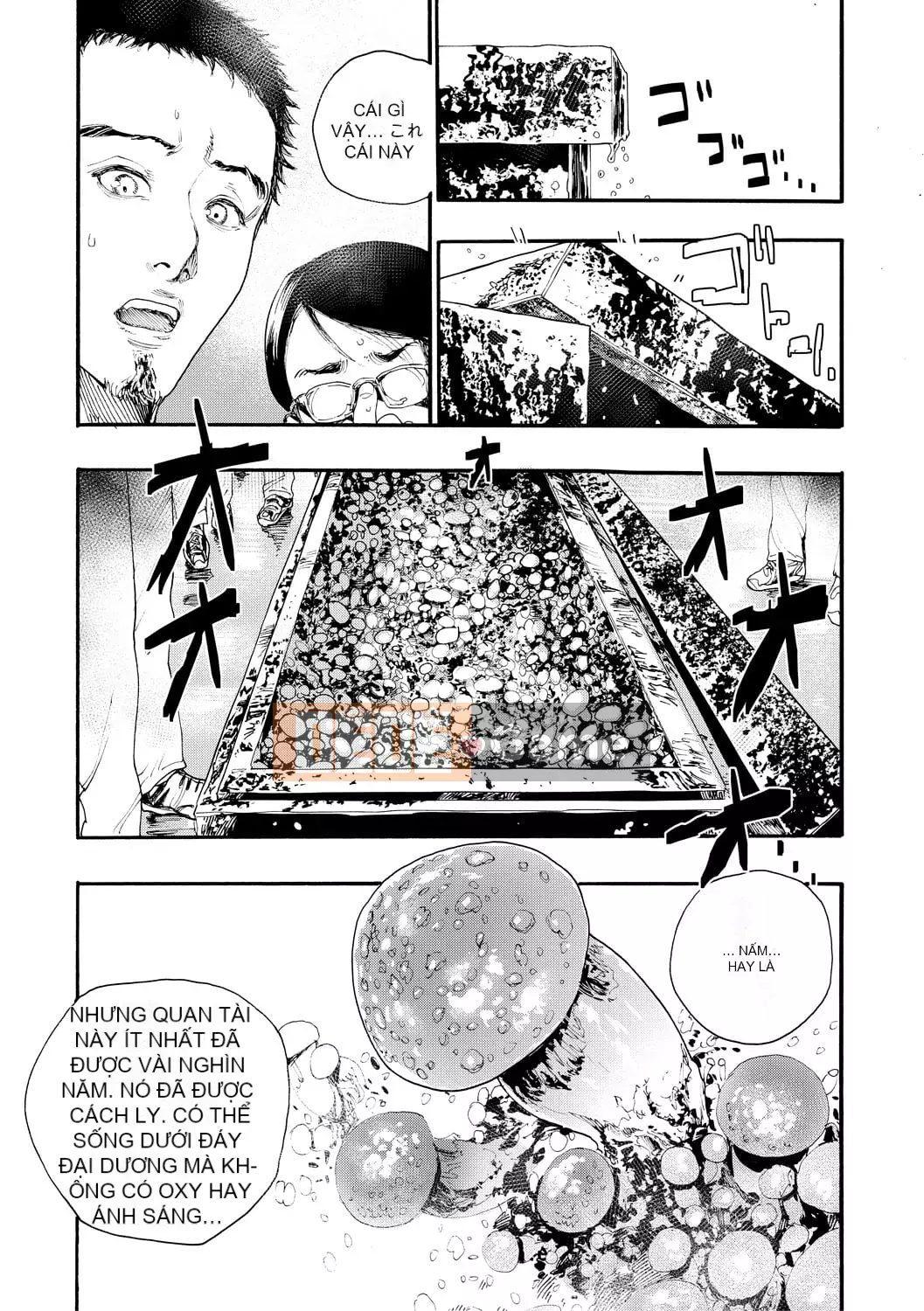 [Takahide Niiba] Mọi người đều có thai!Trường học hậu cung tẩm bổ♥ [Digital]