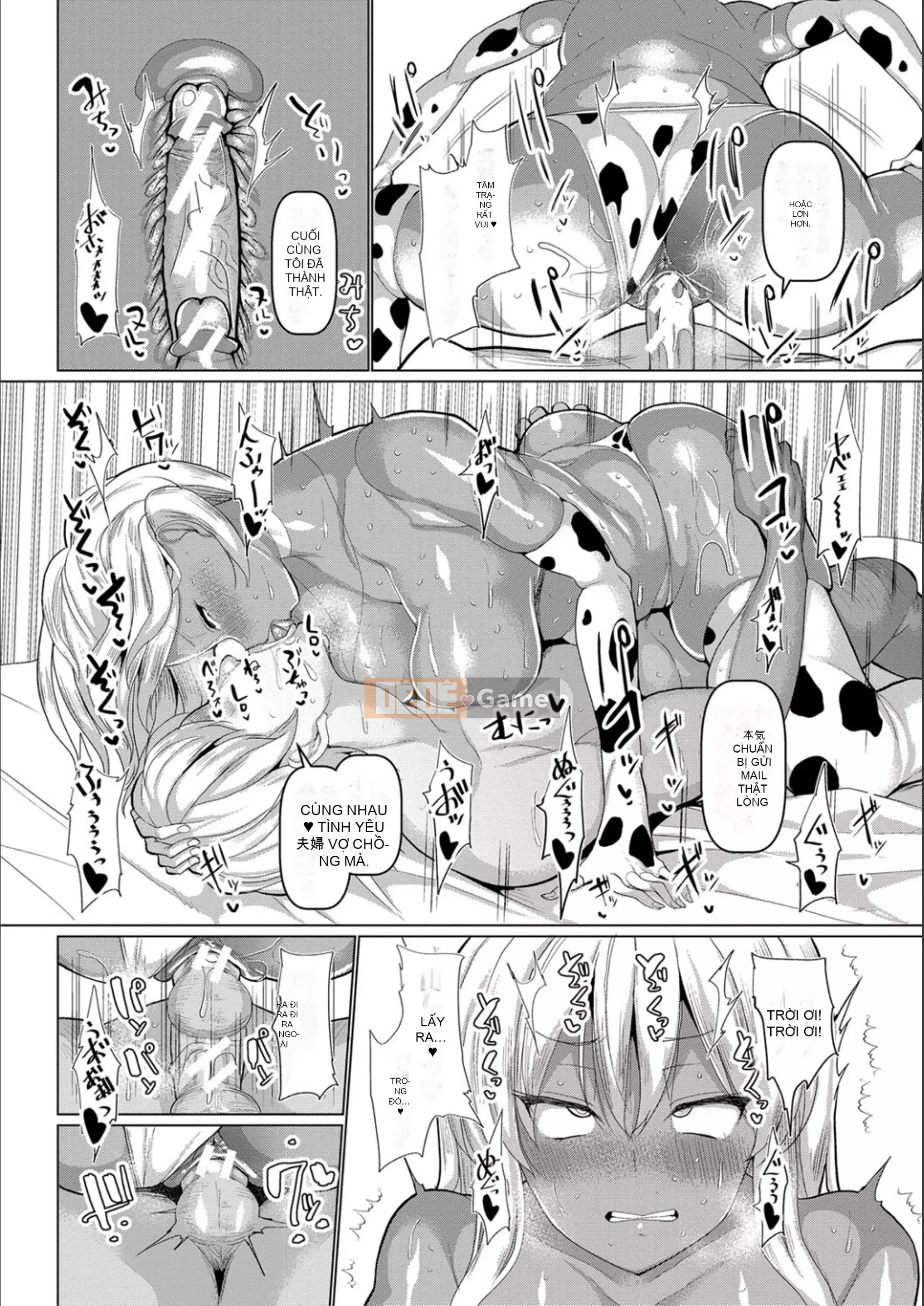 [chin] Nghi thức giao phối cơ bản và nguyên tắc của nó