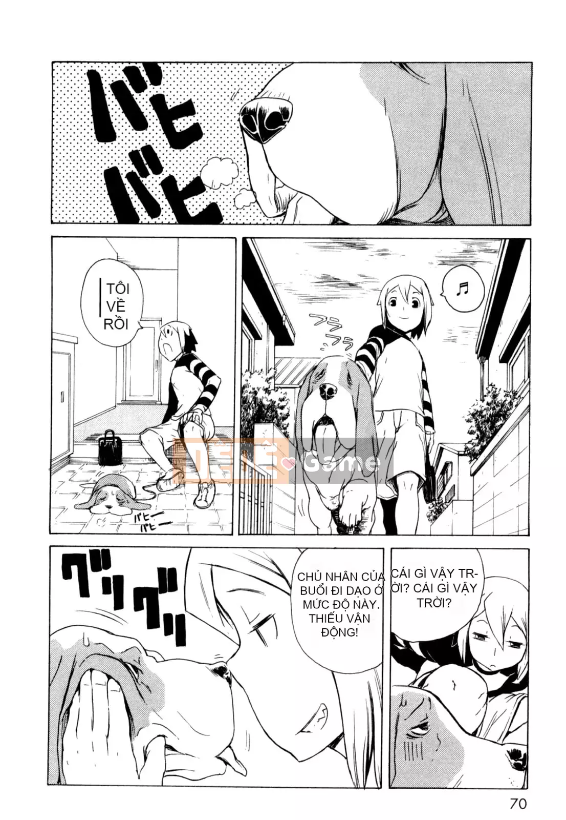 Hoạt động buổi tối