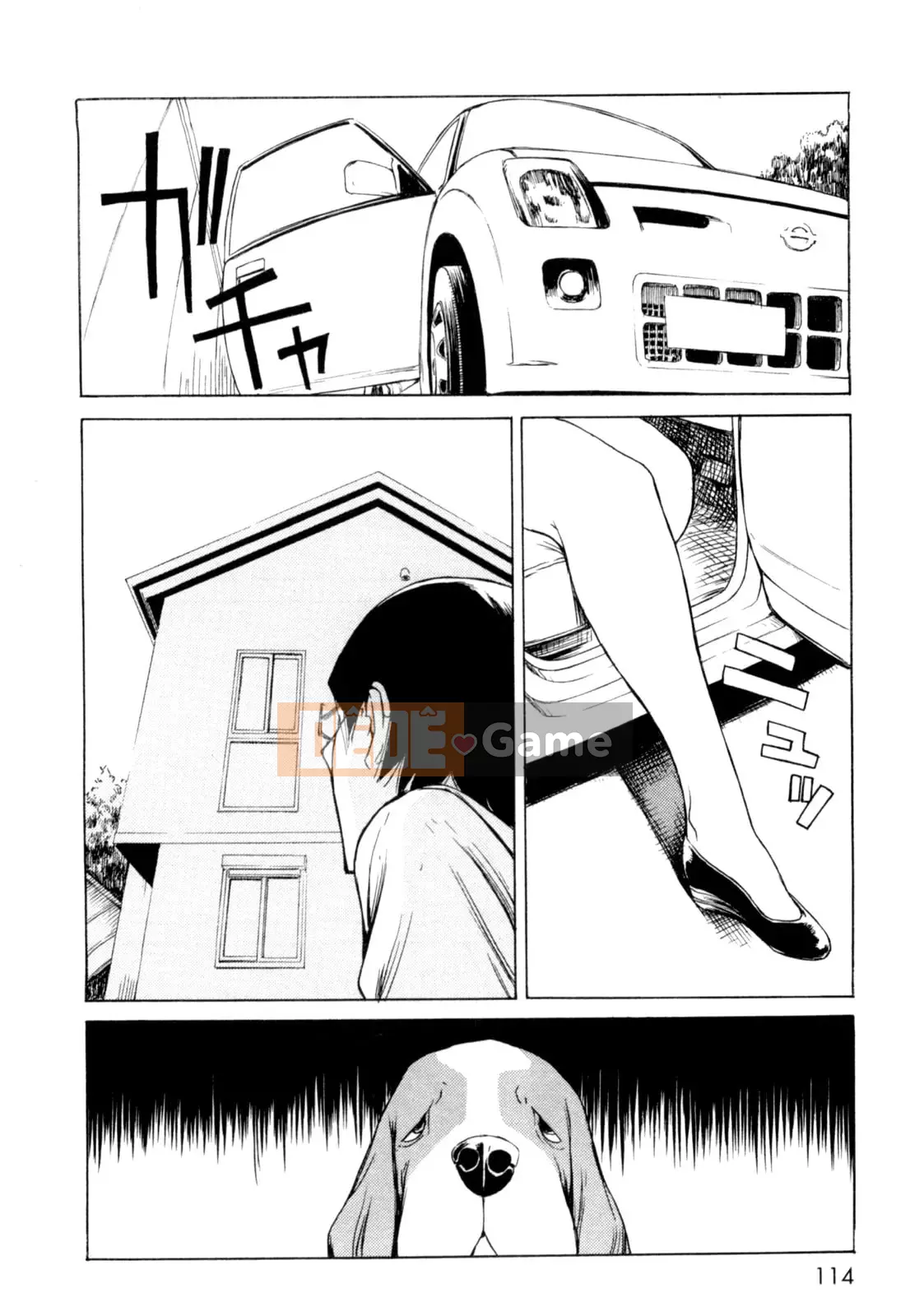 Hoạt động buổi tối