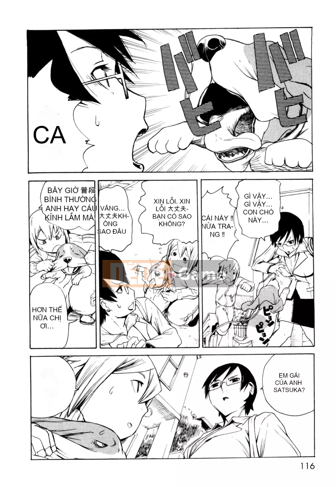 Hoạt động buổi tối