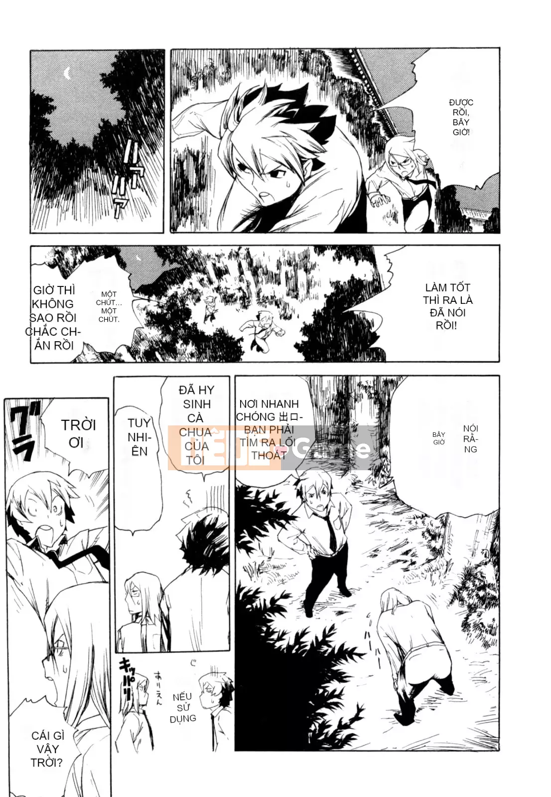 Hoạt động buổi tối