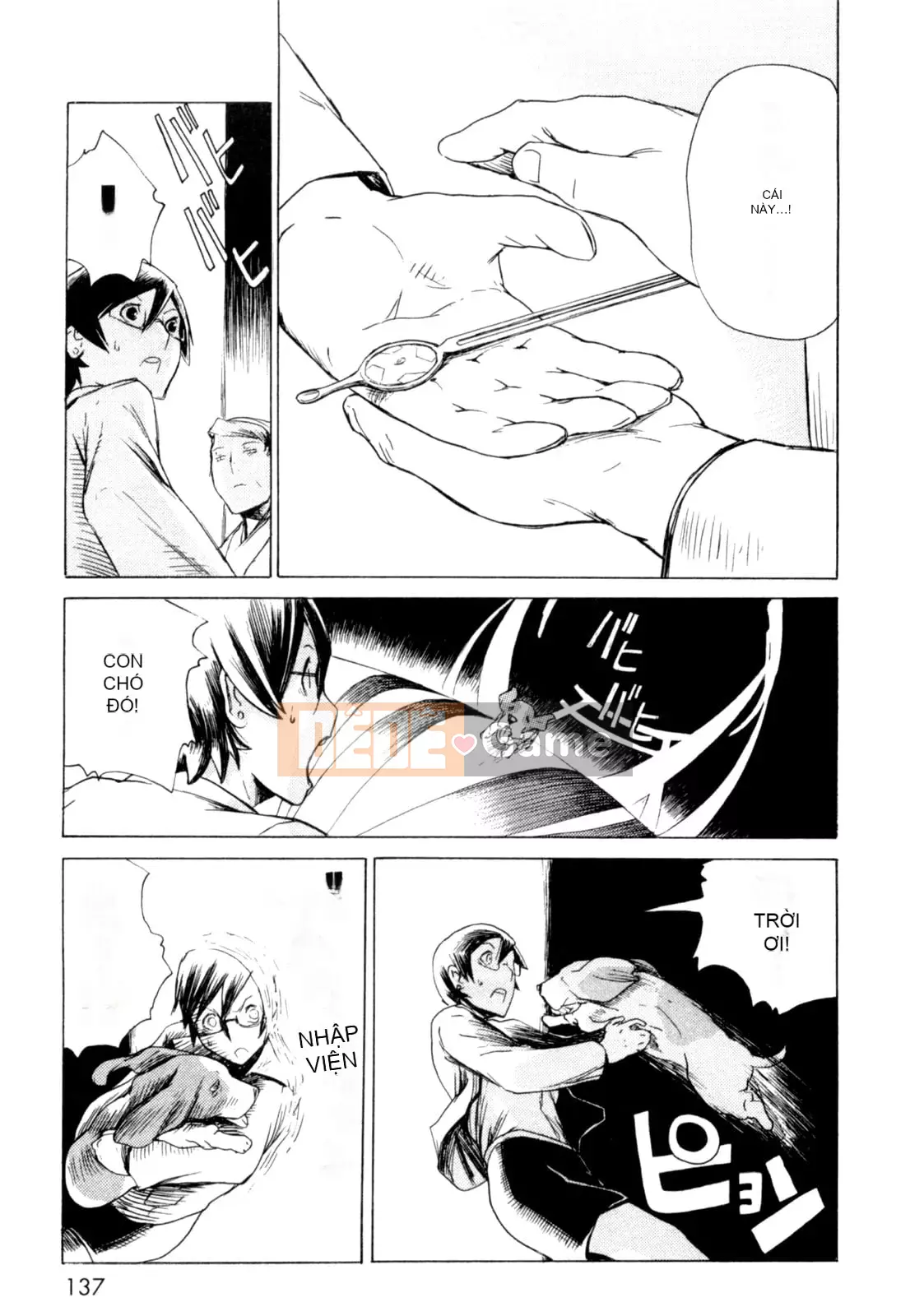 Hoạt động buổi tối