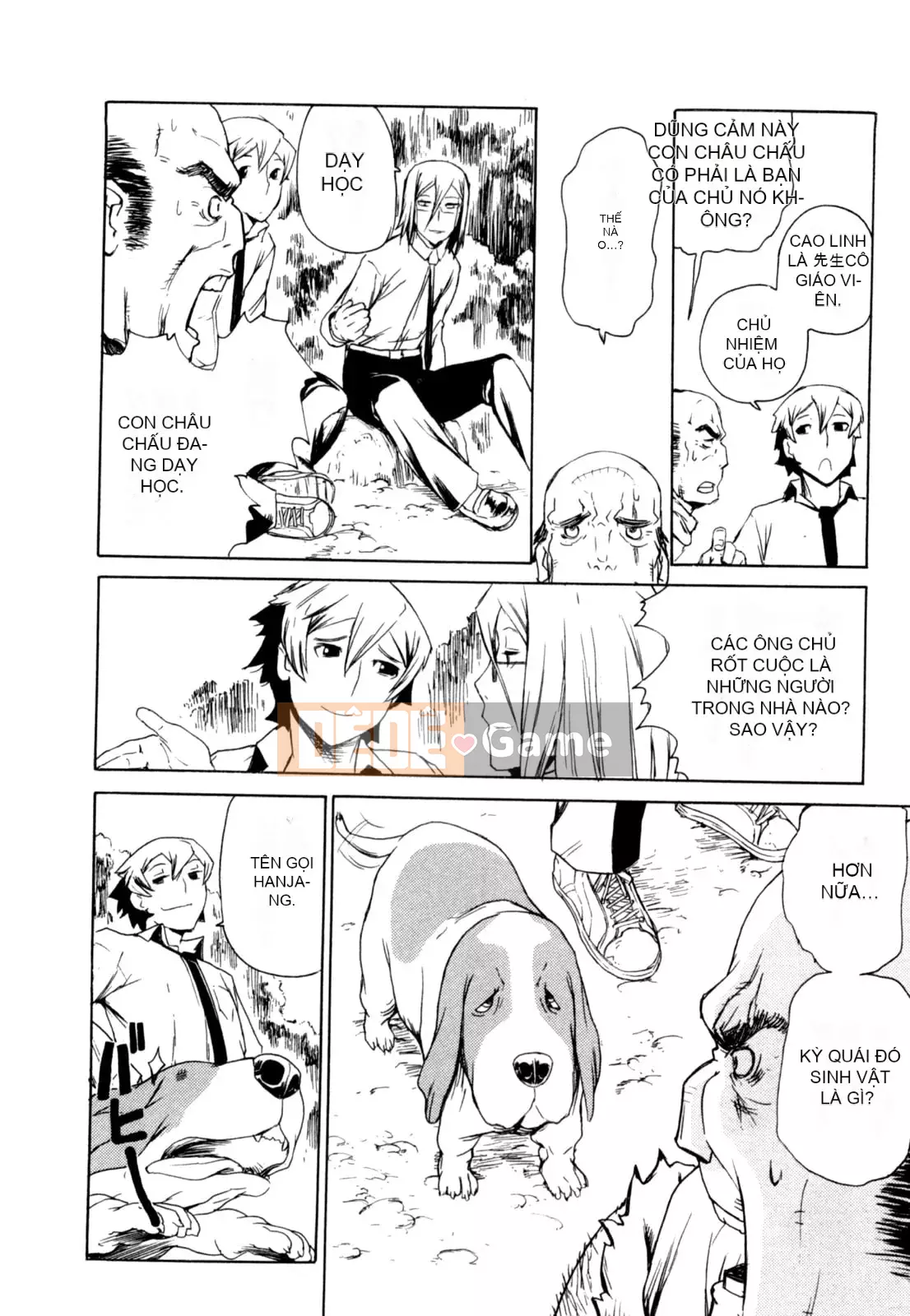 Hoạt động buổi tối