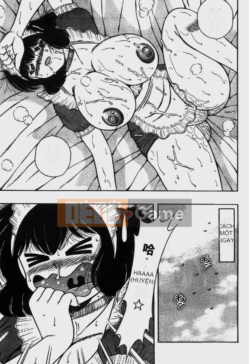 [Umino Sachi] Cô hầu gái đáng yêu