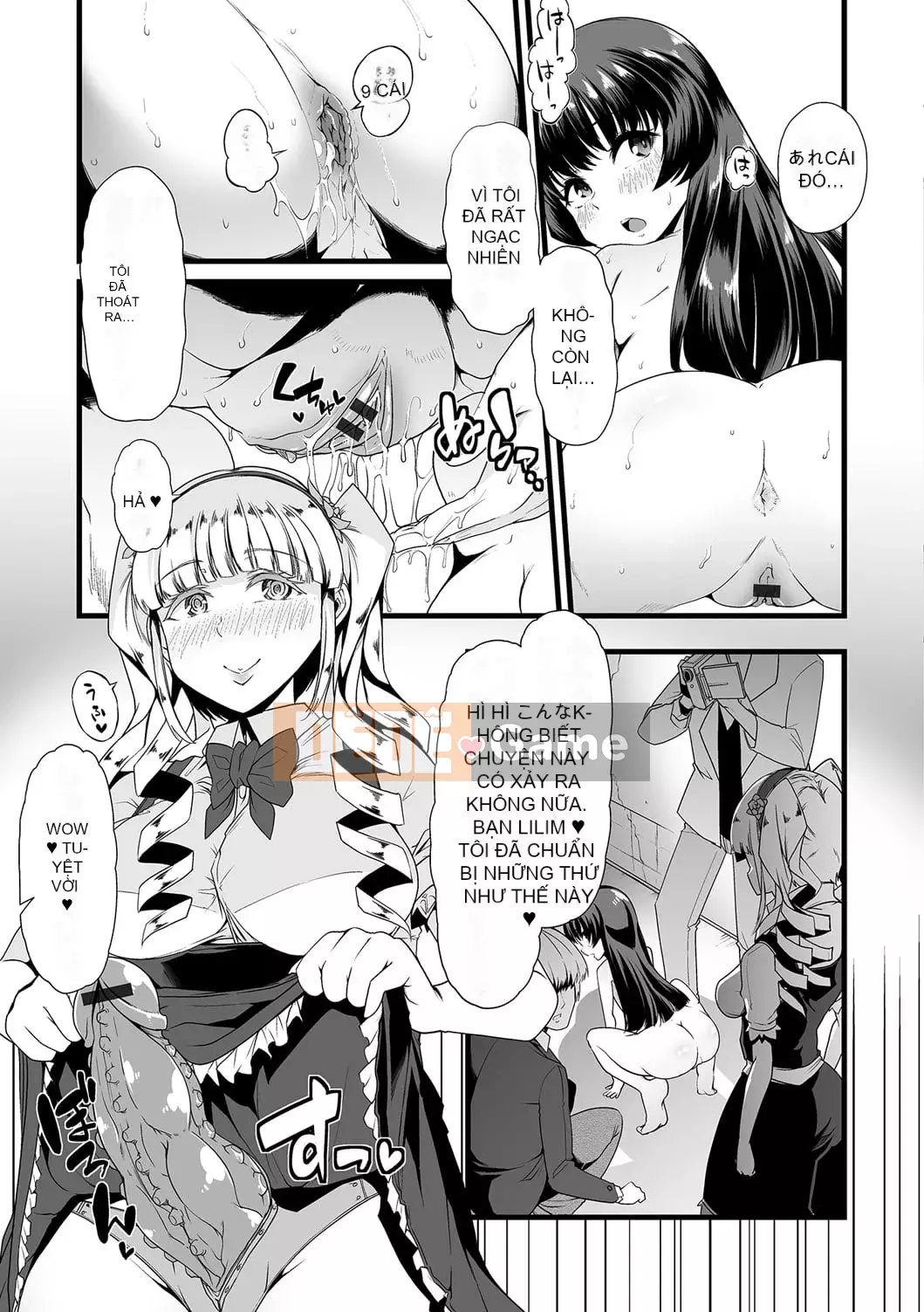 [Tuyển tập] Ougon no Sonata