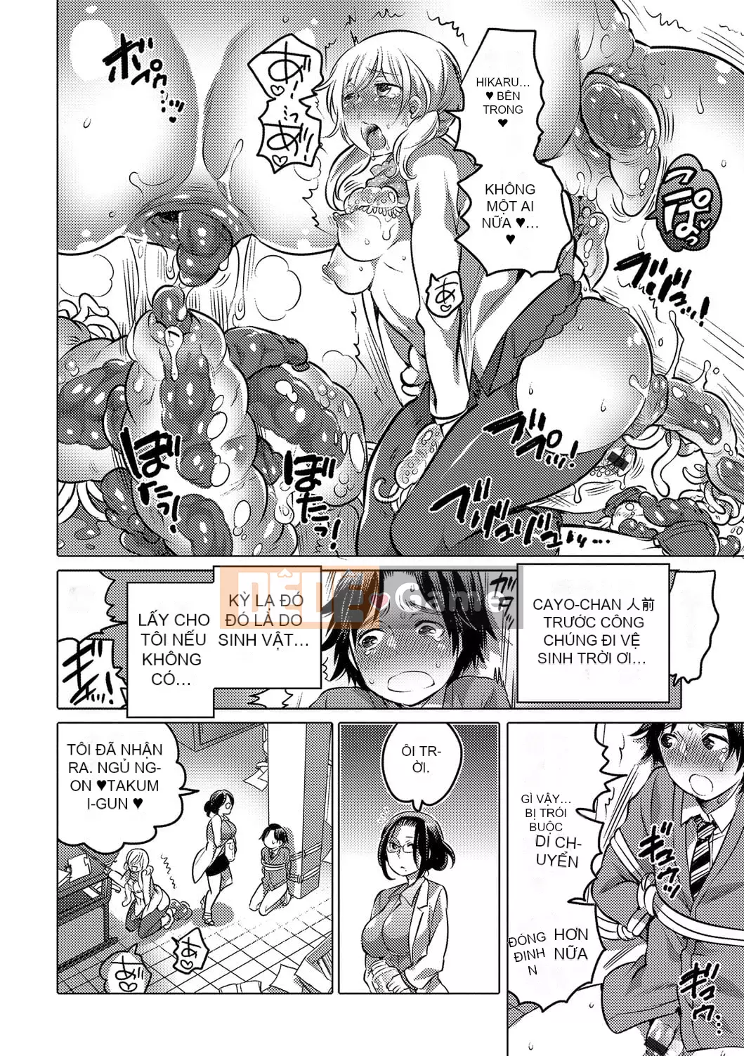 [Tuyển tập] Ougon no Sonata