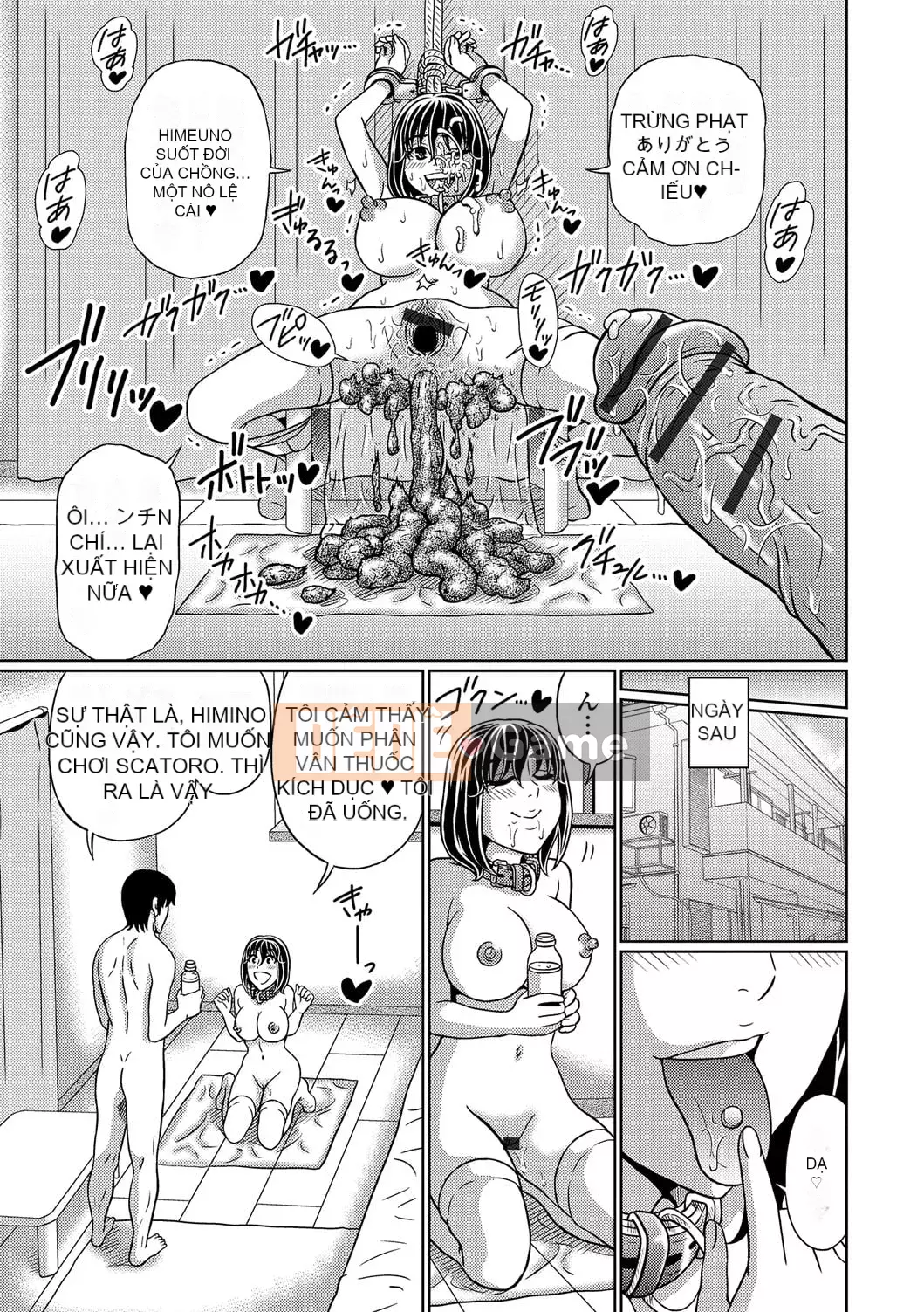 [Tuyển tập] Ougon no Sonata