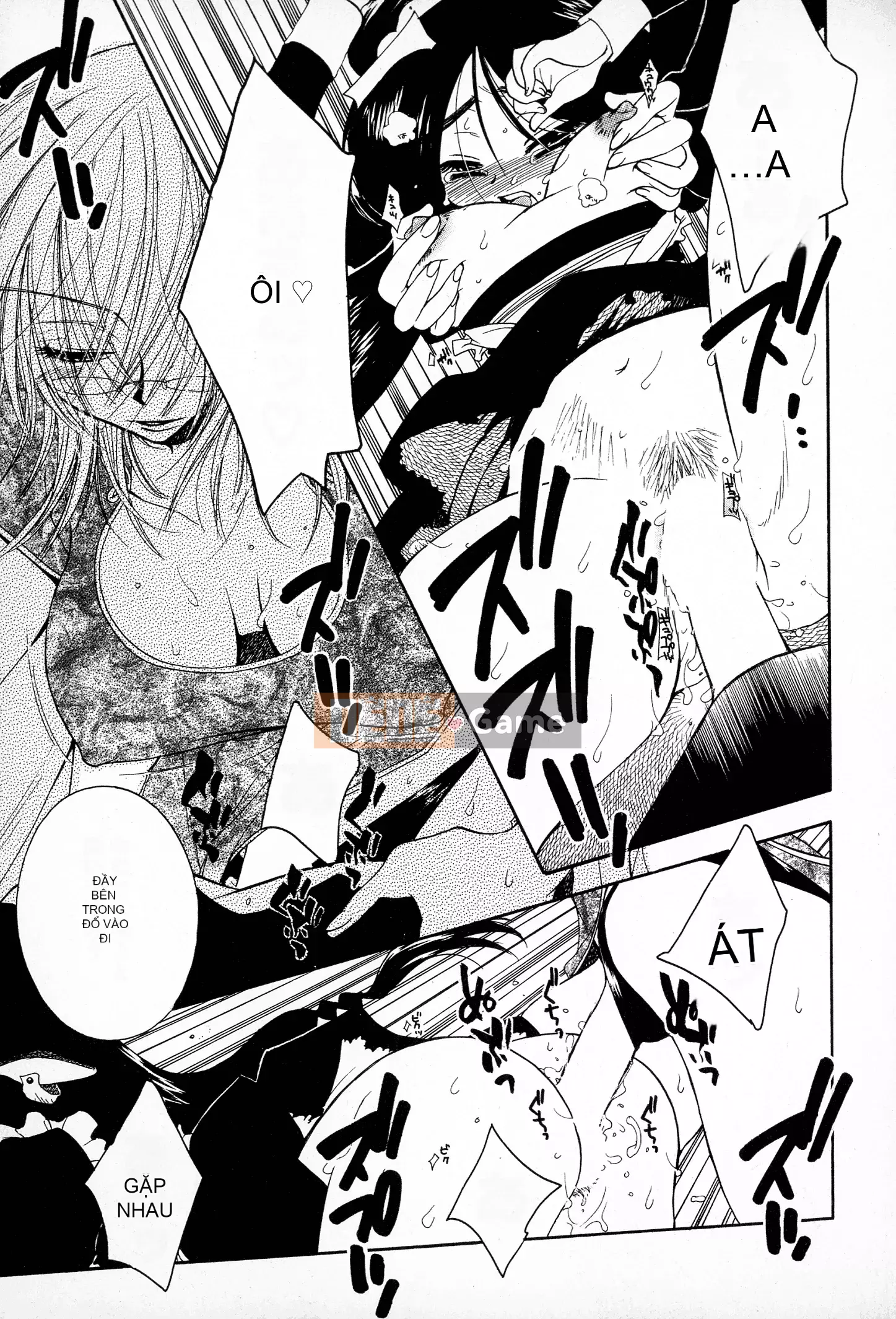 [Ohnami Youko] Những cô gái mạnh mẽ!