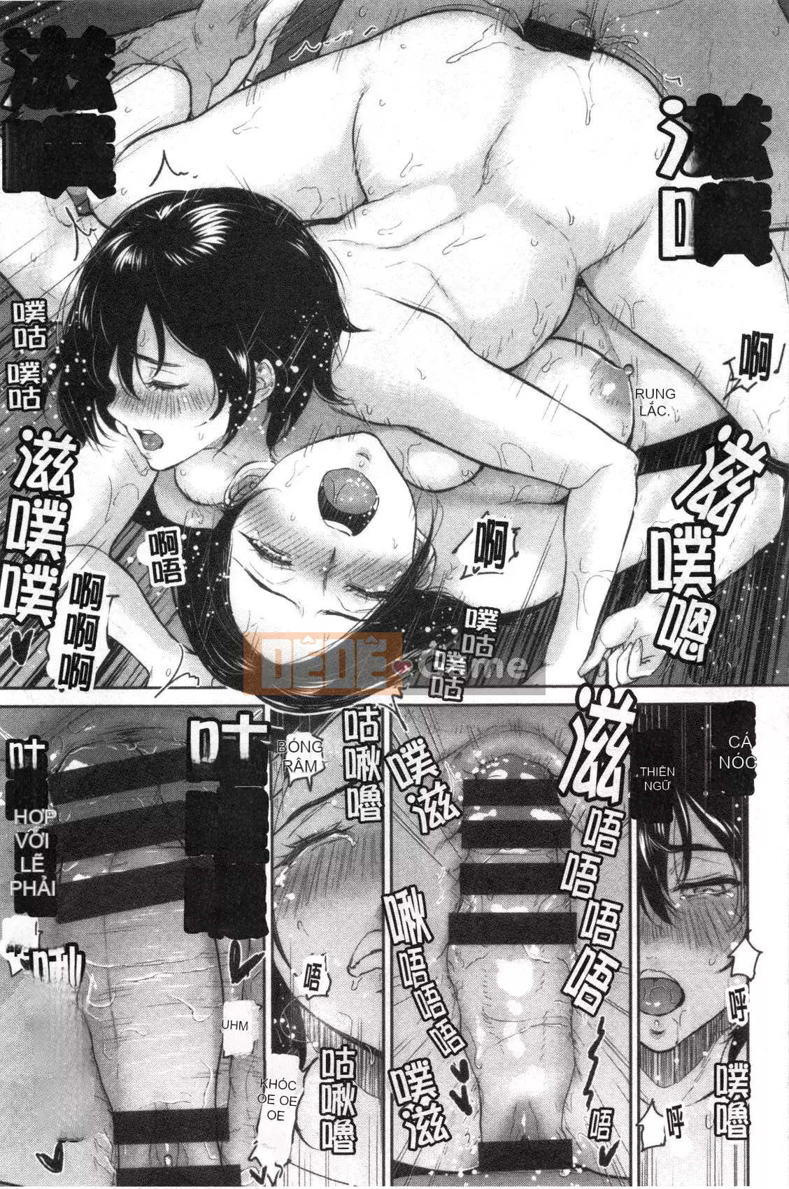 [Bifidus] Nhà trọ học bổng [Kỹ thuật số]