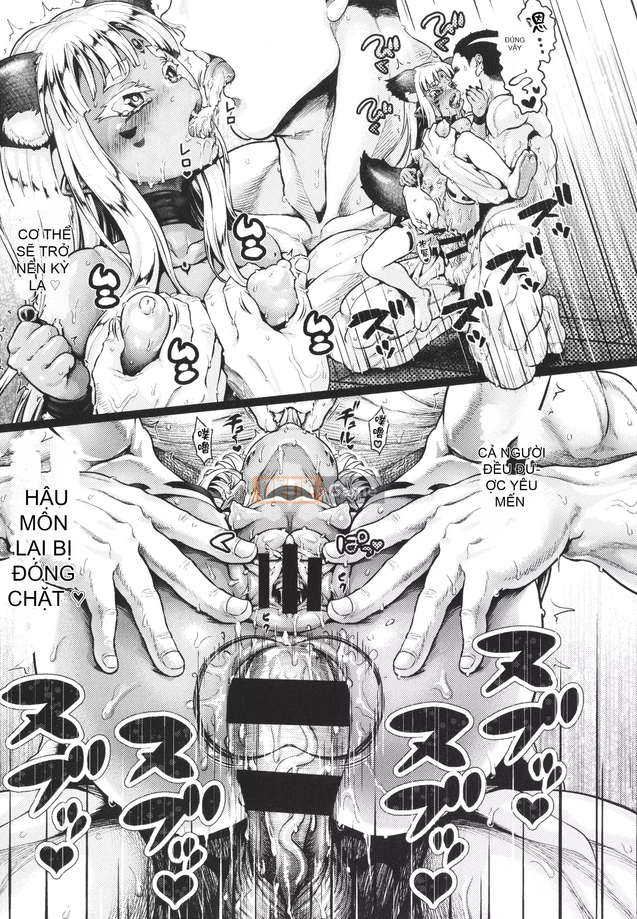 [Nim] Thời trang màu lúa mì + Thẻ minh họa