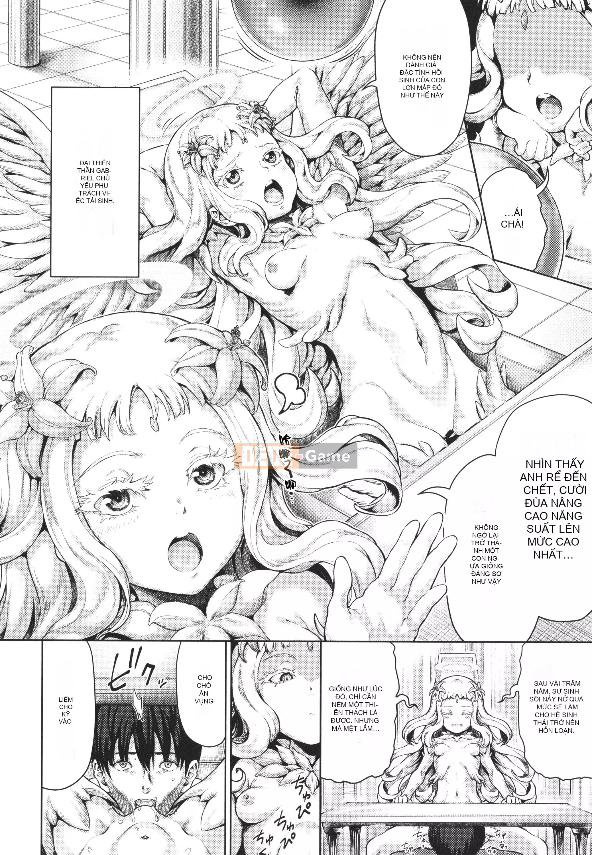 [Nim] Thời trang màu lúa mì + Thẻ minh họa