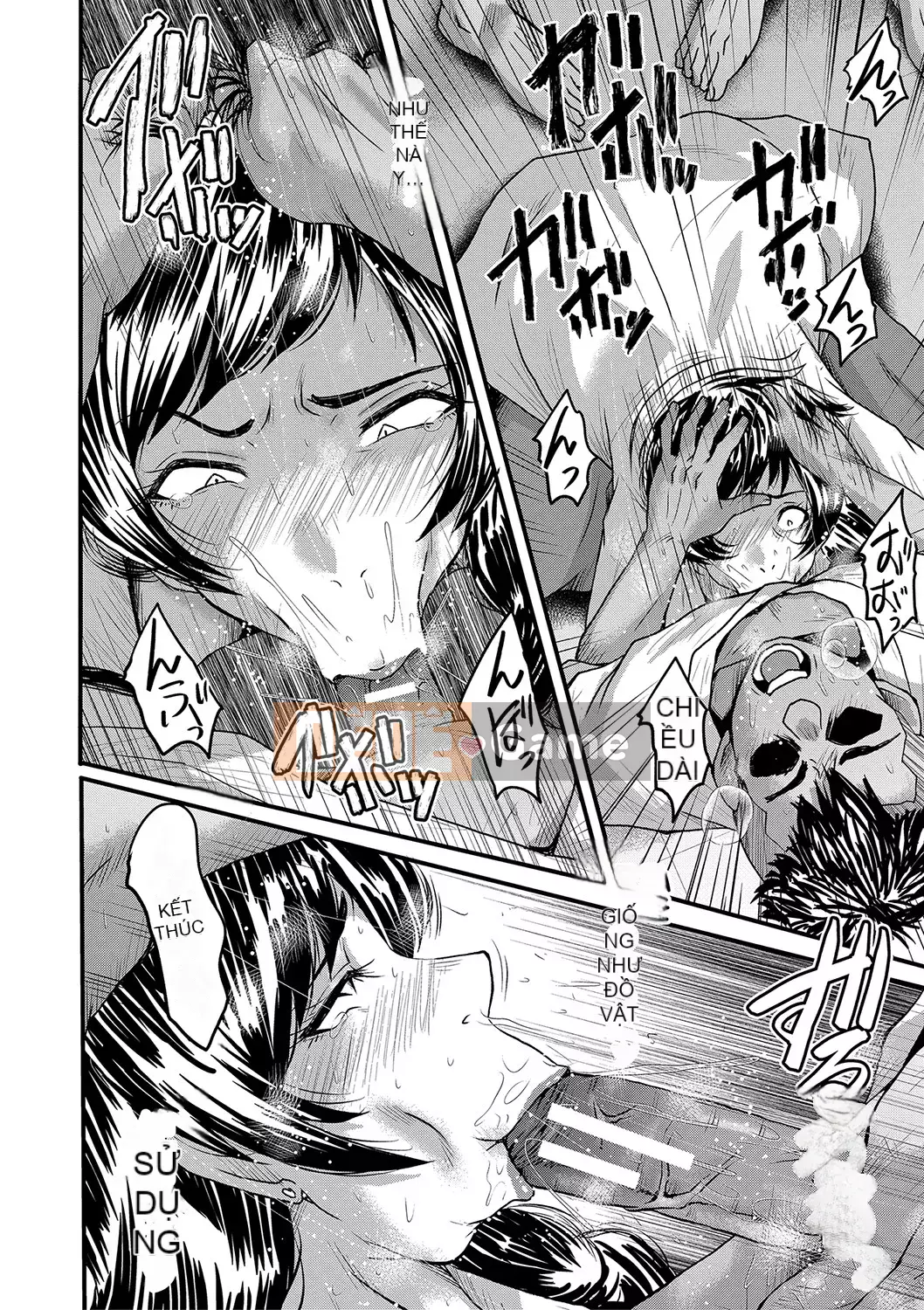 [SINK] Giao phối Jukujo no Intoku [Kỹ thuật số]