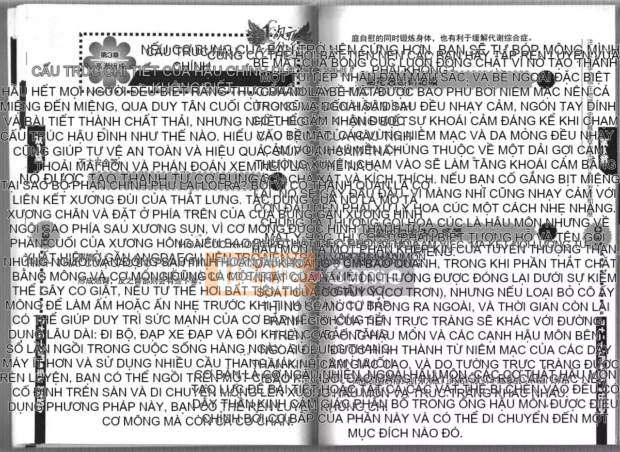 [2D Hankagumi][Abuhyaku] Tôi có thể tự làm được ~ Giới thiệu về Annie dành cho nam giới